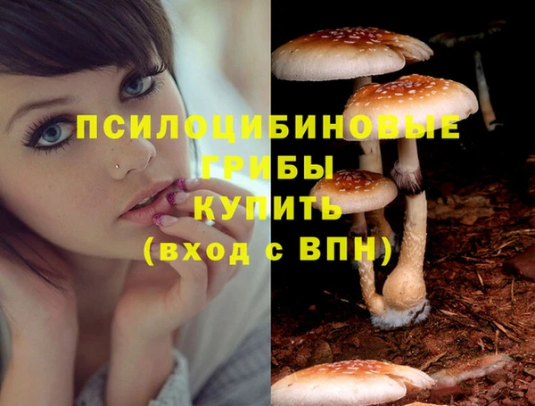 ECSTASY Белоозёрский