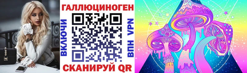 Купить где  Новая Ладога  Галлюциногенные грибы мухоморы 